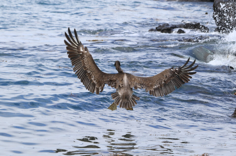 Gallery and Portfolio